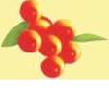 Seabuckthorn extract