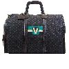 Louis Vuitton Handbags