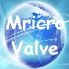 [CN] Small Valve Co., Ltd