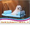 iron car dog pet beds cat tree pet product furniture Metal china diosen