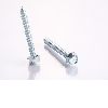 Self Tapping Screw