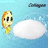 Collagen