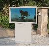 42" High Brightness Floor Stand LCD Advertising Outdoor Display LCD Advertisng Kiosk