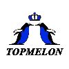 [CN] Topmeloncollection