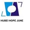 [CN] Hubei Hopejune Forging & Mechanical Co., Ltd