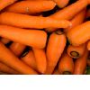 Fresh carrot