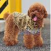 pet clothes dog apparel