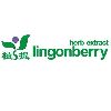 [CN] DaXingAnLing Lgonberry Organic Foodstuffs Co., Ltd.