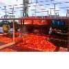 28-30% bulk package tomato paste