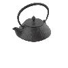 cast iron teapot