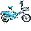 Electric Bicycle With Brushless Generator