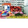 Outdoor Double-Color LED Display Panel