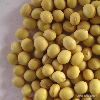 Soybean Isoflavone