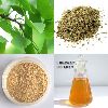 Ginkgo Biloba Extract