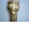 brass foot valve