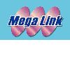 [TW] Mega Link Enterprises Co., Ltd.