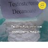 Testosterone Decanoate