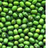 Green Mung Beans