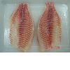 Frozen Tilapia fillet