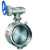 butterfly valve