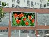 Outdoor LED single or double color display screen