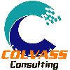 [HK] Colvass Consulting Limited