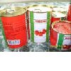 tomato paste