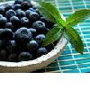 Blueberry Anthocyanin(sales9 at lgberry dot com dot cn )