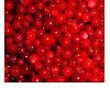 Lingonberry Red(sales9 at lgberry dot com dot cn) 