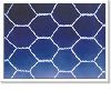 hexagonal wire mesh