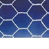 Hexagonal wire mesh 