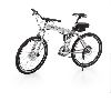 Folding Bike (ZW-TDF-301Z )