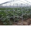 Green house steel structure