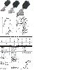 Pneumatic Angle Seat Valve