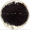 Iron Oxide Black