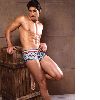 Free Shipping!Wholesale Man's Boxers,Plus Size Underwear,DHL EMS Shipping!OEM service,Drop Shipping!