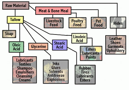 ANIMAL FEED MEALS