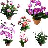 Artificial Flower,Orchid,Rose Flower,Artificial Garland,Artificial Plant,Music Rose