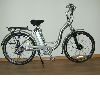 Ni-Mh Battery Electric Bicycle