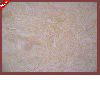 AMASYA BEIGE Artificial Stone