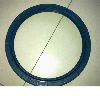 oil seal