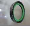 oil seal