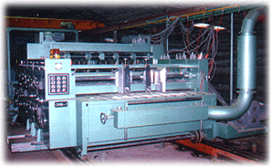 FLEXO PRINTING MACHINE