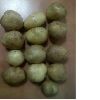 Quality Potatoes By Wholesale - For Export