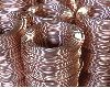 Soft Coiled Copper Tube