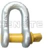 G210 US Type Screw Pin Chain Shackle