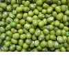 China green mung beans (2011 Crop)