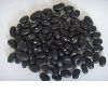 Black kidney beans (2010 Crop)