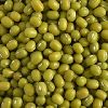 Green Mung Bean