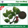 Bilberry extract (Vaccinium Myrtillus L.)